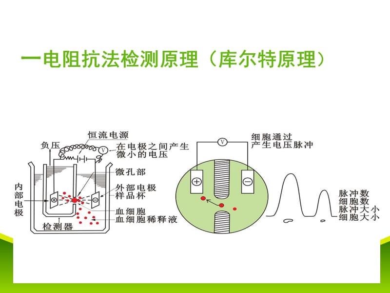 血细胞分析仪检测原理18.ppt_第2页