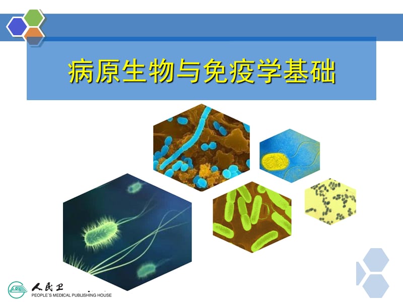 病原生物与免疫学(中职)绪论.ppt_第1页