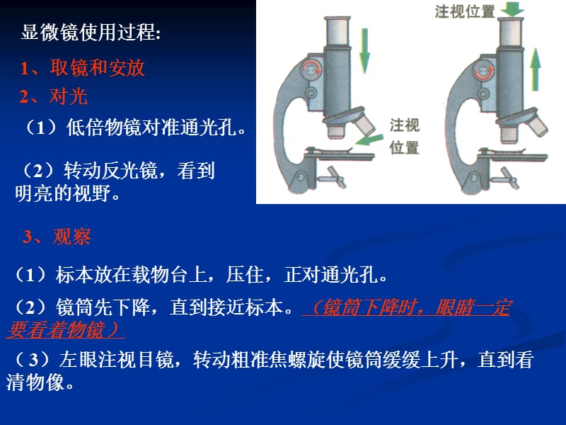 显微镜的使用方式.ppt_第3页