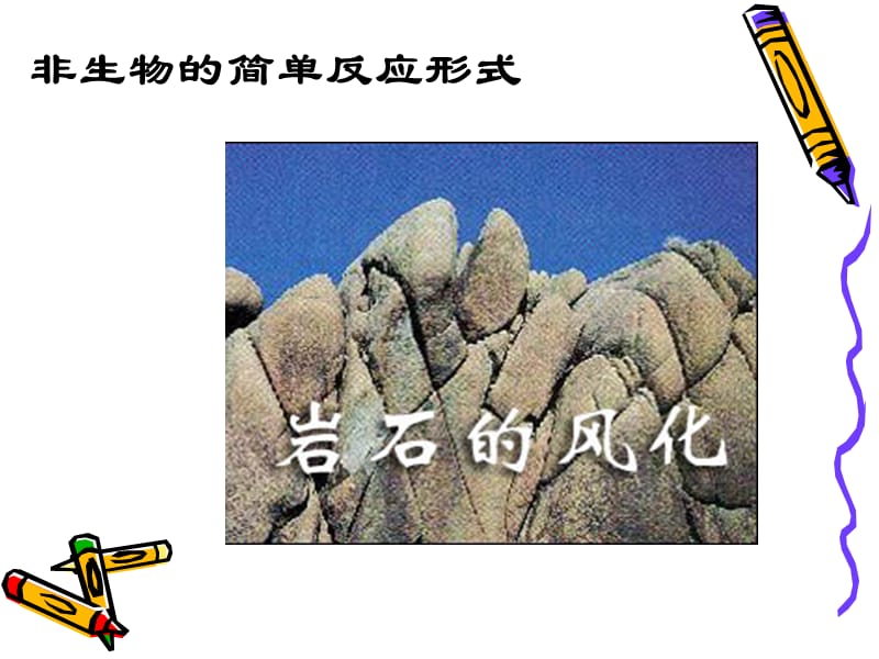 意识是客观的.ppt_第2页