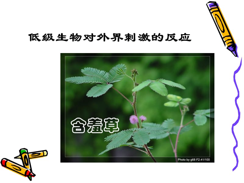 意识是客观的.ppt_第3页