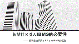 论IBMS的必要性(BA与IBMS的区别).ppt