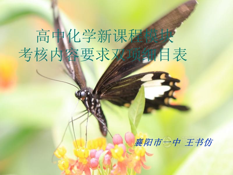 双向细目分析.ppt_第1页