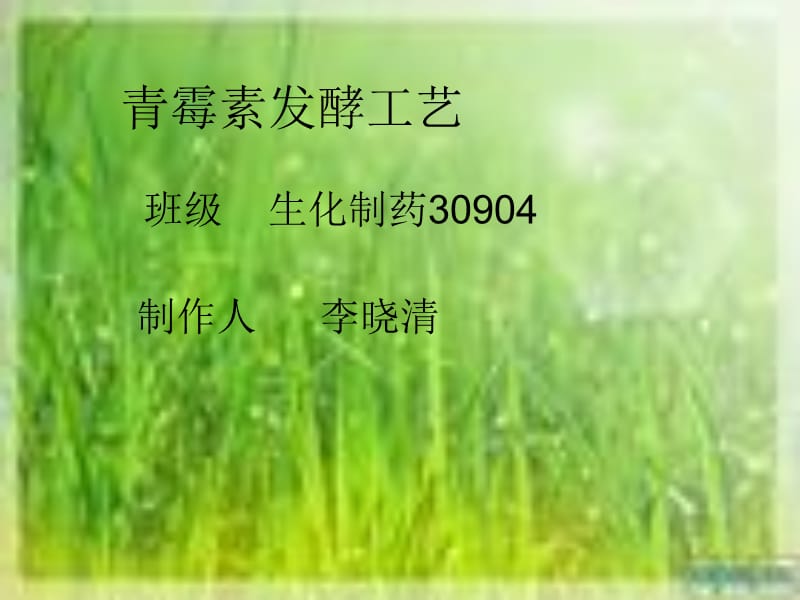 青霉素发酵工艺.ppt_第1页