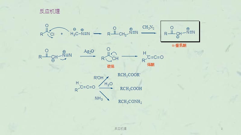 反应机理课件.ppt_第2页