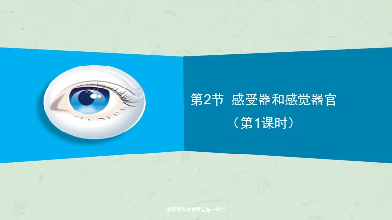 感受器和感觉器官第一课时课件.ppt_第1页