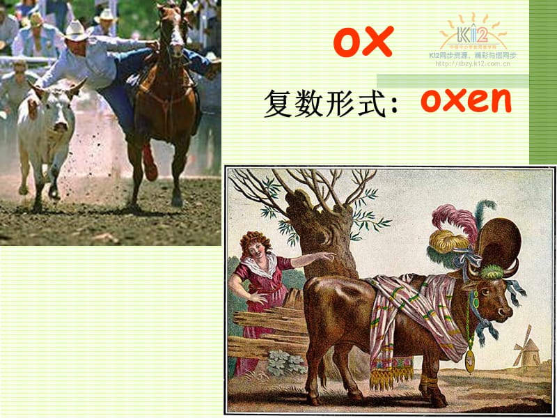 高二英语（选修七）unit 4 Revision of words.ppt_第3页