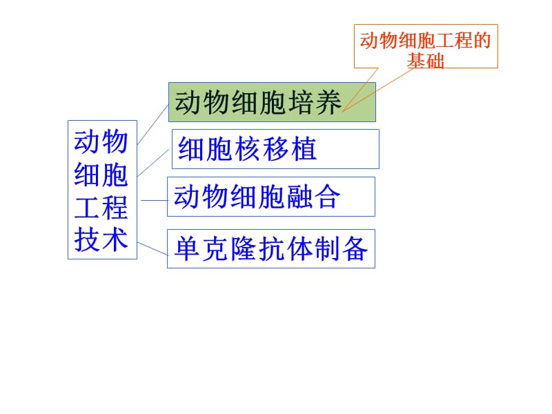 221动物细胞培养和核移植技术.ppt_第3页