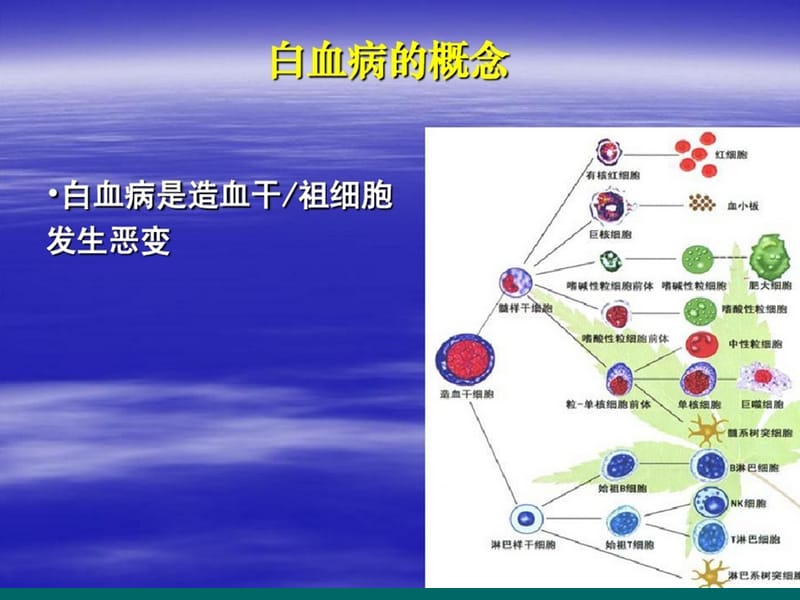 白血病的分型.pptx_第2页