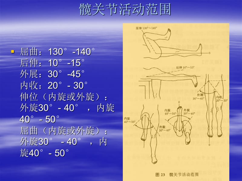 髋关节体格检查.ppt_第3页