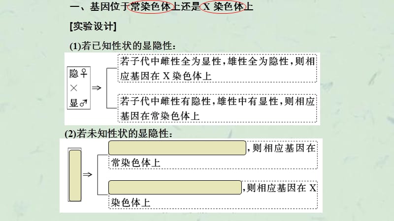 五类基因定位的遗传实验设计与分析课件.ppt_第1页