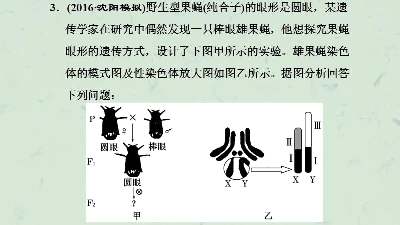 五类基因定位的遗传实验设计与分析课件.ppt_第2页