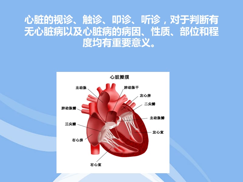 心脏的体格检查.ppt_第2页