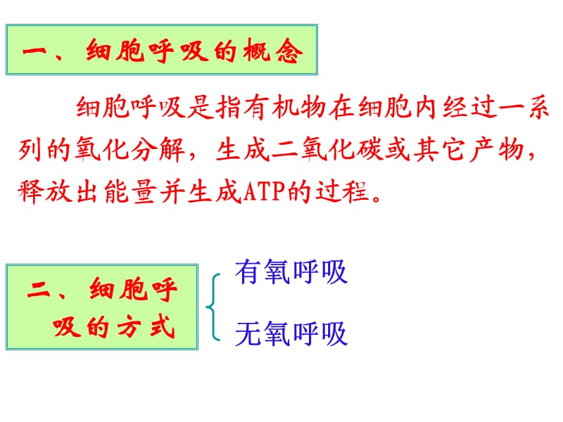 细胞呼吸探究实验.ppt_第2页