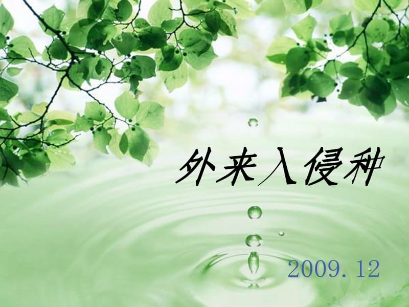 认识外来生物幻灯片.ppt_第1页