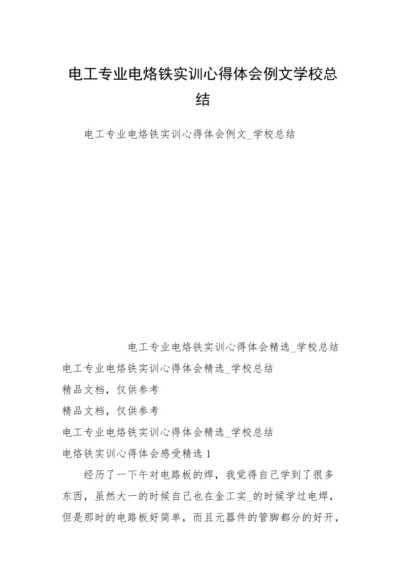 电工专业电烙铁实训心得体会例文学校总结.docx_第1页