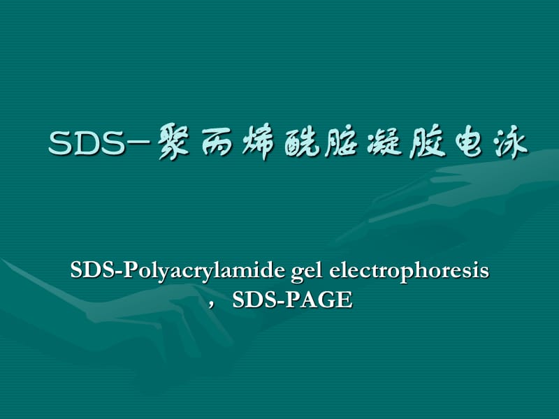 SDS-PAGE,聚丙烯酰胺凝胶电泳详解.ppt_第1页