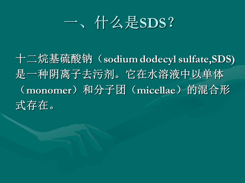 SDS-PAGE,聚丙烯酰胺凝胶电泳详解.ppt_第2页