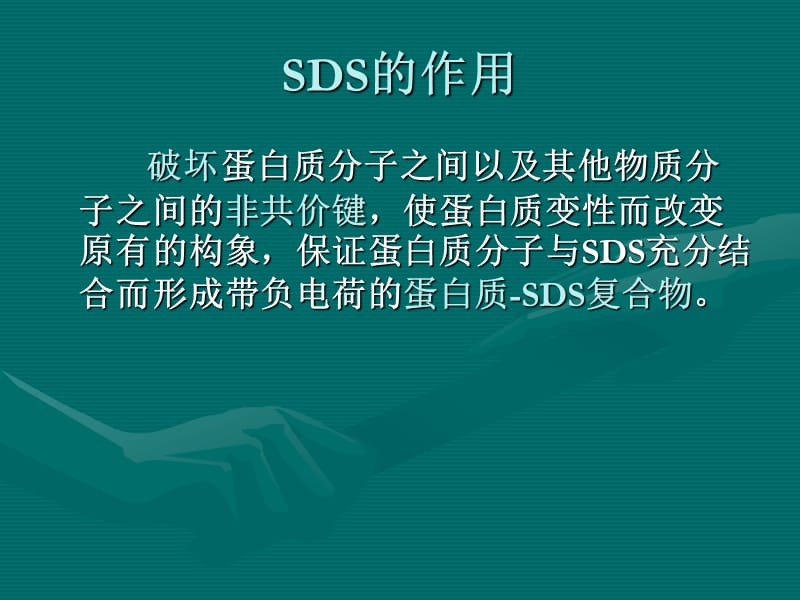 SDS-PAGE,聚丙烯酰胺凝胶电泳详解.ppt_第3页