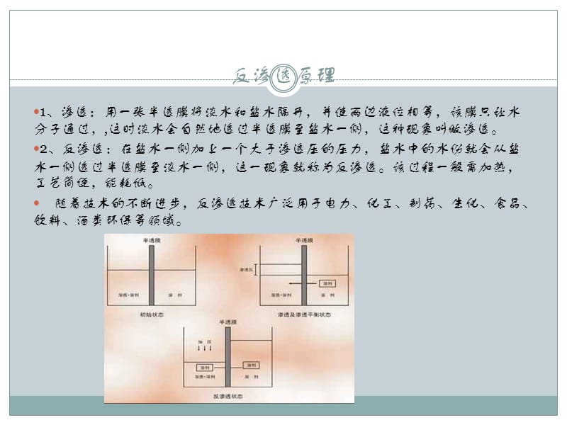 反渗透水处理.ppt_第2页