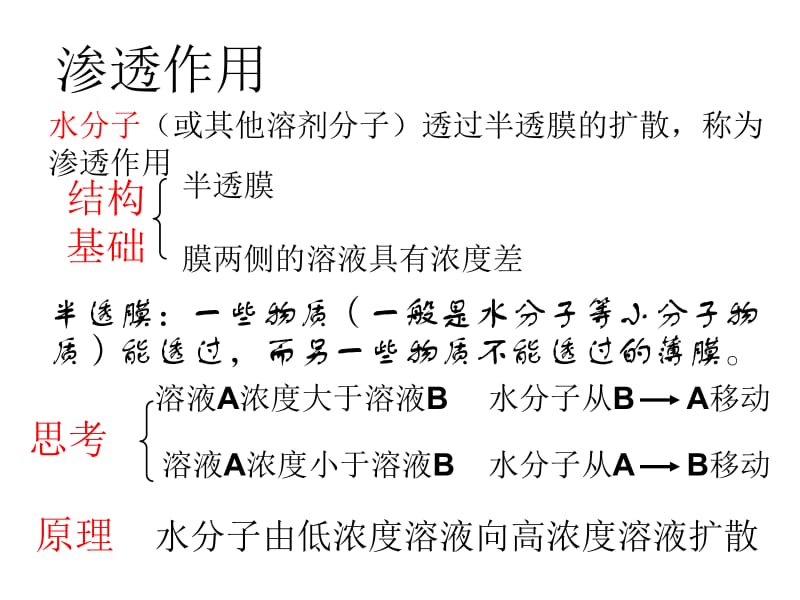 质壁分离实验.ppt_第3页