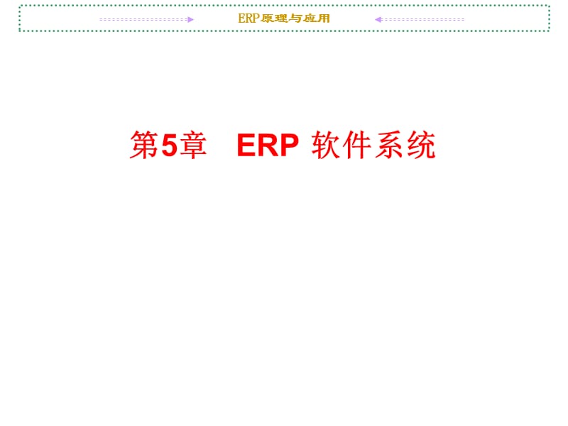 第5章 ERP软件系统.ppt_第1页