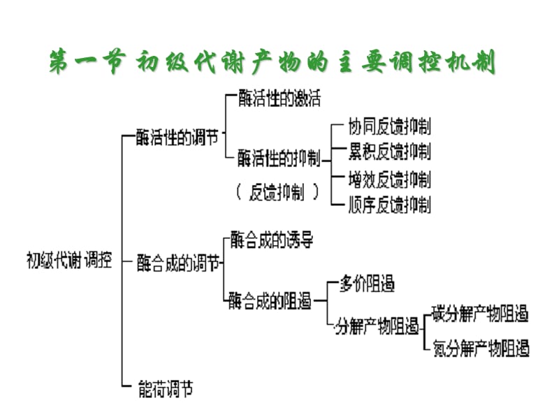 微生物代谢产物的生物合成与调控.ppt_第3页