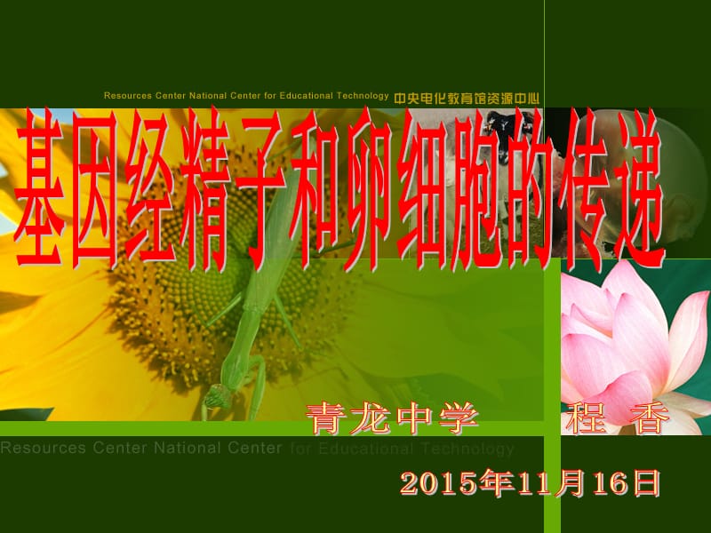 微课--基因经精子和卵细胞的传递.ppt_第1页