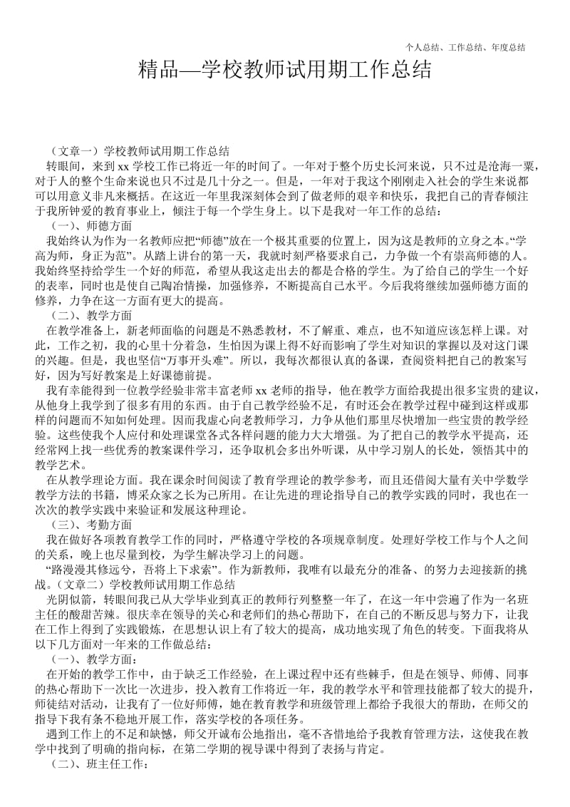 精品—学校教师试用期精品工作总结.doc_第1页