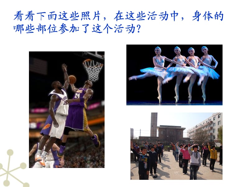 神经系统的组成ppt课件.ppt_第1页