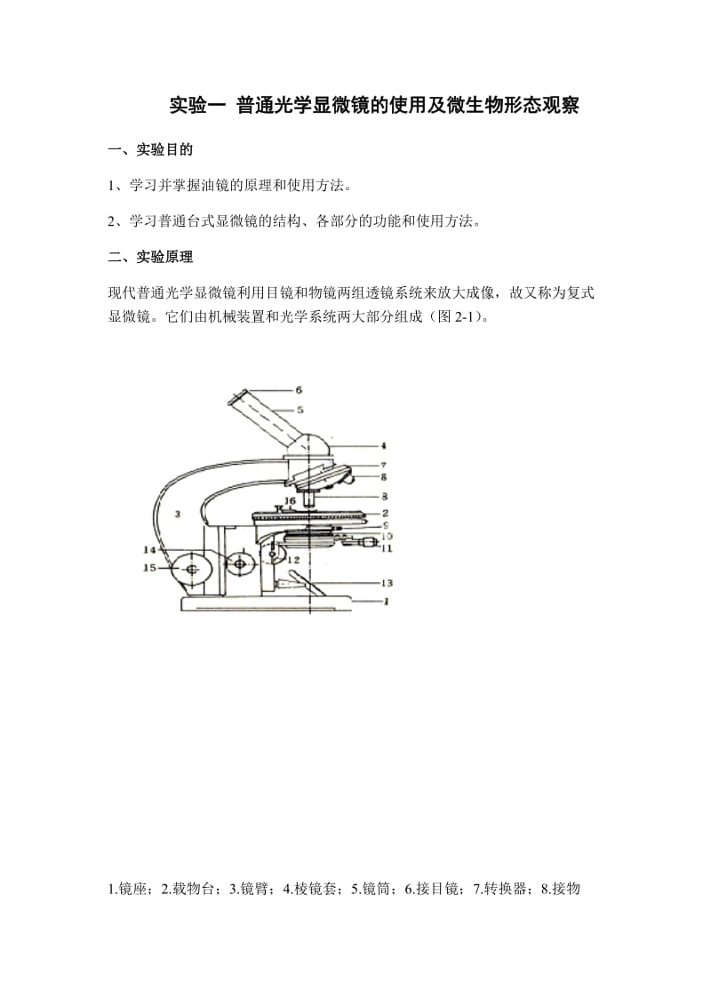 微生物学实验.docx_第1页