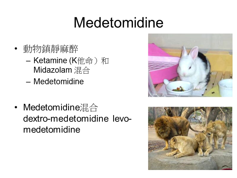 Dexmedetomidine对於止血带所引起术中高血压的疗效及药理机转之探讨参考PPT.ppt_第3页