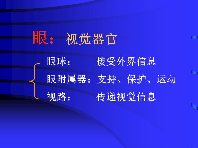 眼科解剖课件.ppt_第2页