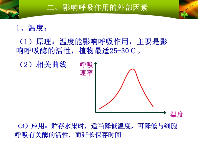 影响细胞呼吸的因素及应用.ppt_第3页