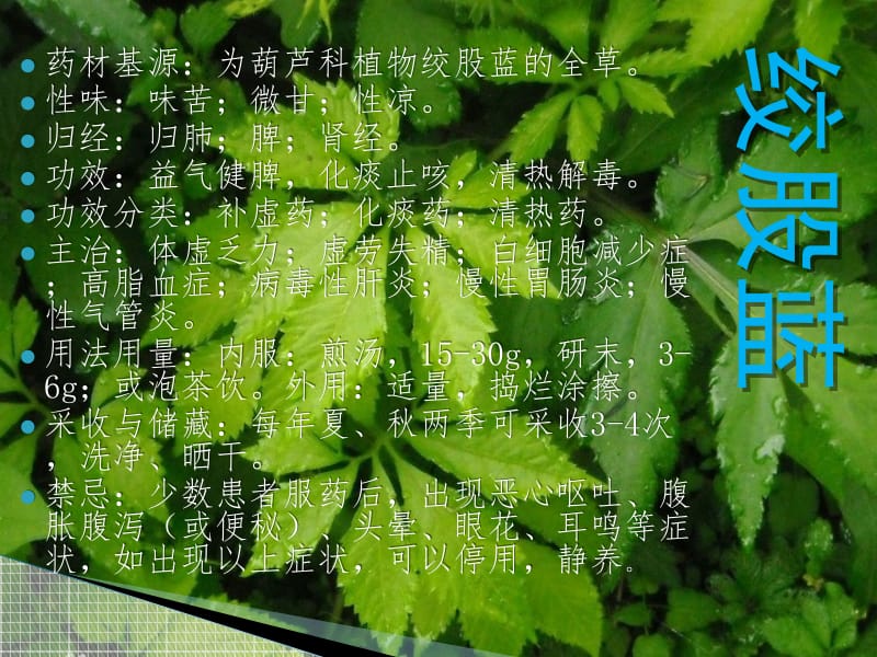 常见中草药介绍.ppt_第2页