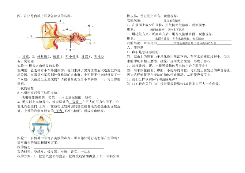 五年级科学期中测试练习题答案.doc_第2页