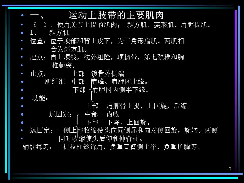 《运动上肢的肌肉》参考PPT.ppt_第2页