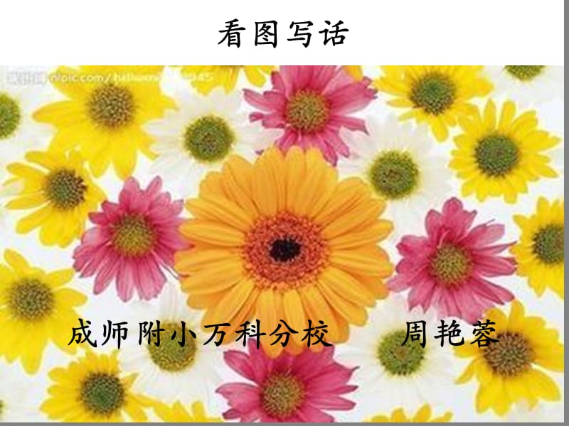 绘本故事彩虹色的花.ppt_第1页