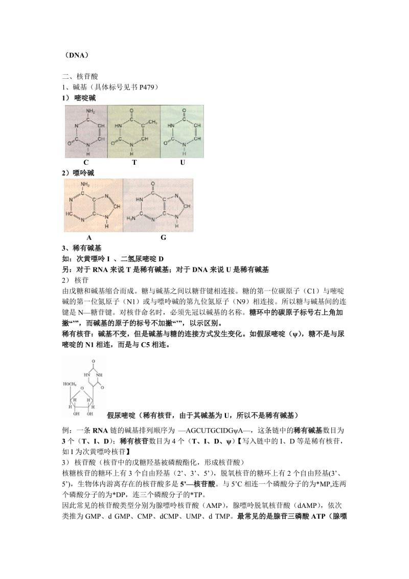 生物化学(下册)期末考试复习资料.doc_第2页