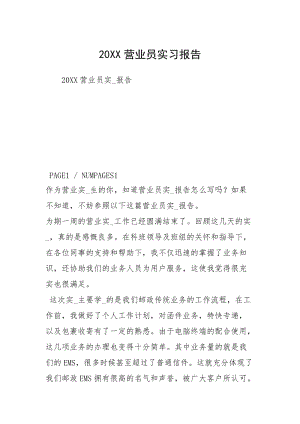 20XX营业员实习报告.docx