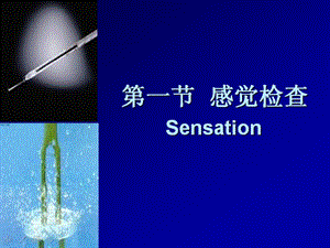 神经功能感觉检查法.ppt