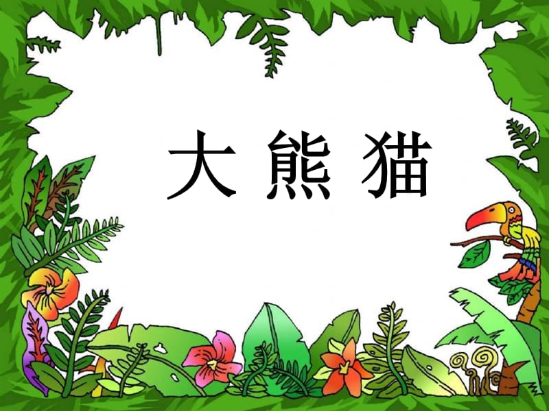 大熊猫 北师大 一年级下.ppt_第1页