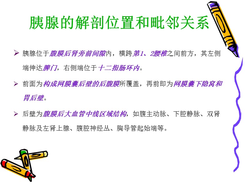 胰腺的正常解剖.ppt_第2页