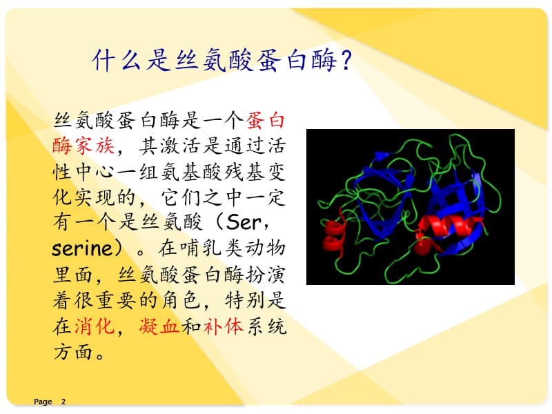 丝氨酸蛋白酶水解机制参考PPT.ppt_第2页