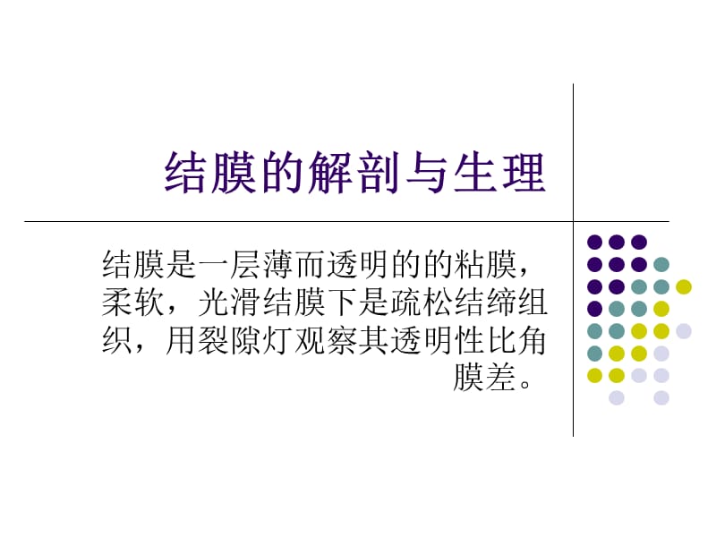 眼表解剖与生理.ppt_第2页