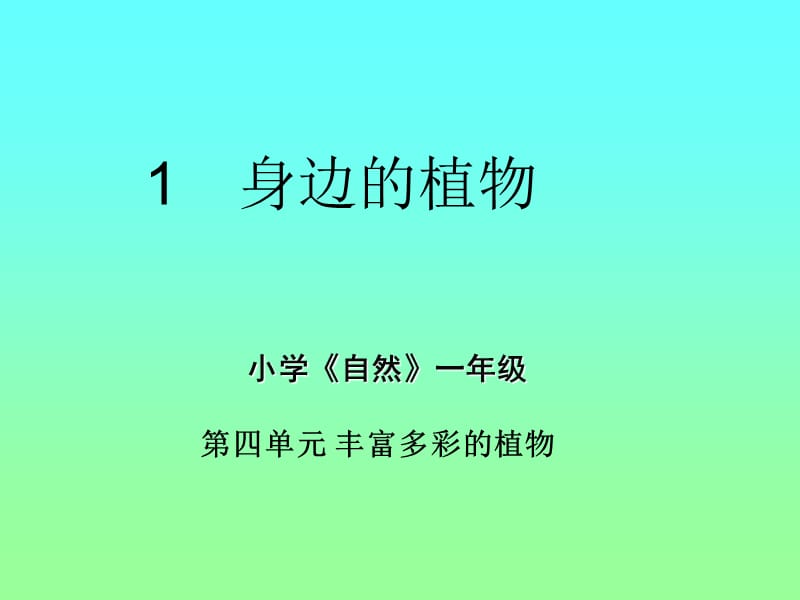 沪教版一年级上自然丰富多彩的植物——身边的植物.ppt_第1页