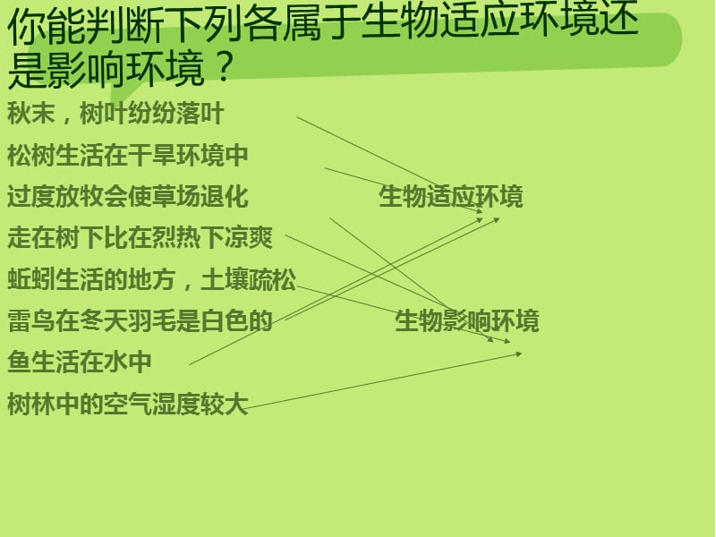 生物与环境组成生态系统第1课时.ppt_第3页