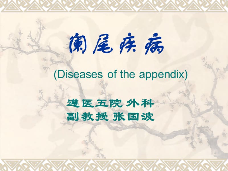 阑尾炎疾病 (Diseases of the appendix).ppt_第1页