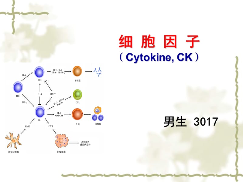 细胞因子免疫学.ppt_第1页