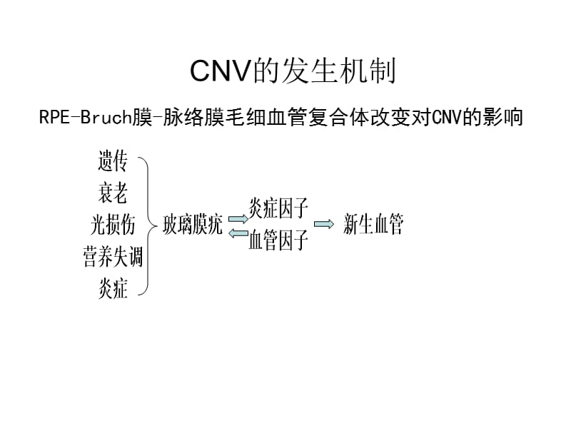 脉络膜新生血管阶段一.ppt_第2页